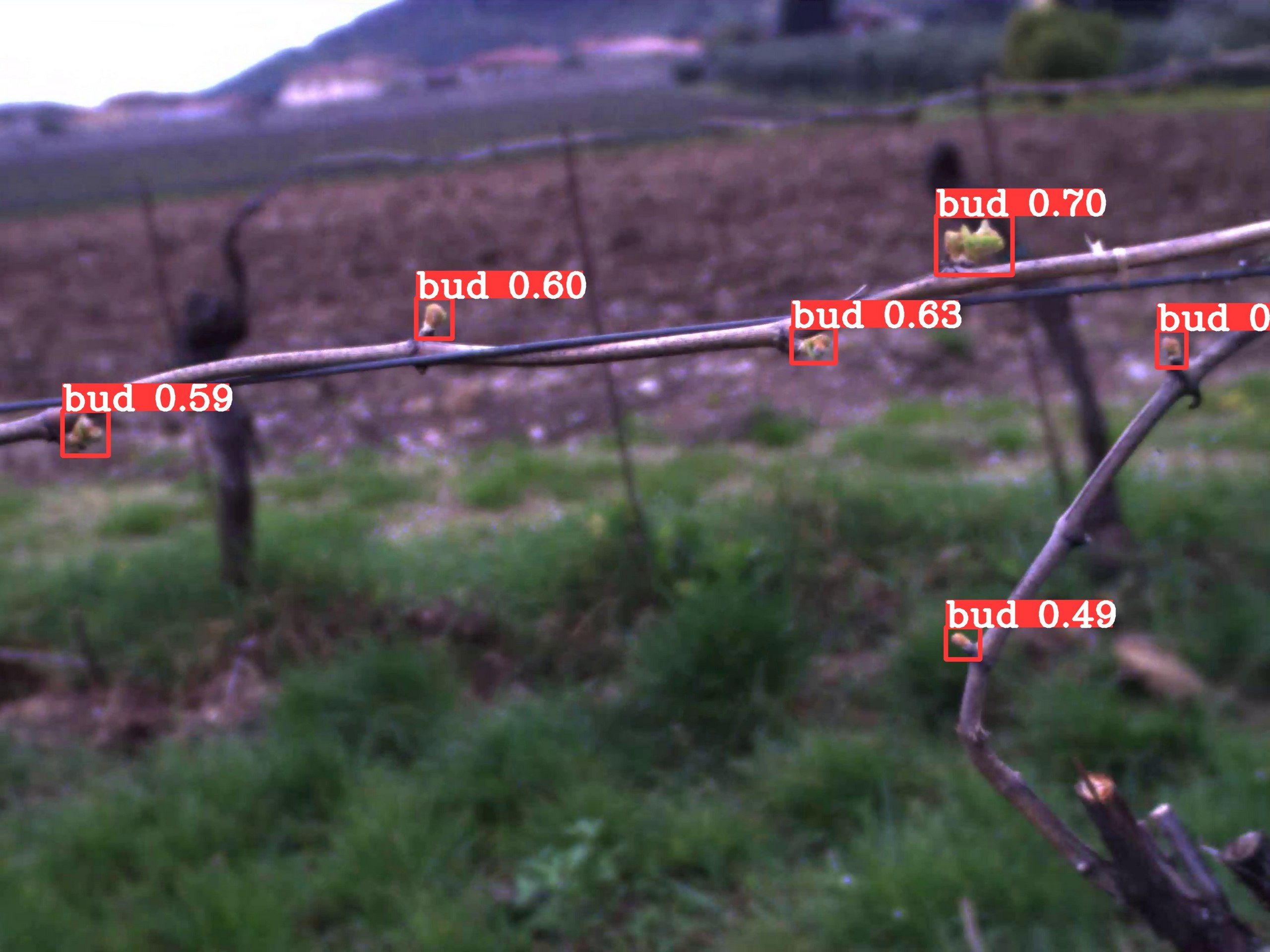 Neural network for detection and tracking