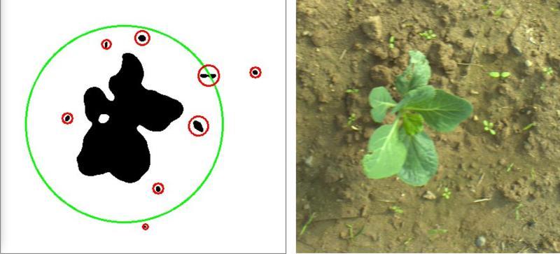 Preneural Visual Detector
