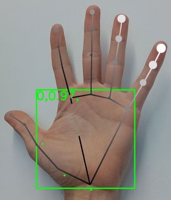 Mediapipe